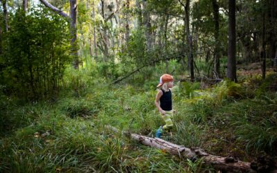 Utflykt i skogen blir tryggt med oss