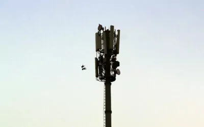 2G släcks ner – vad innebär det?