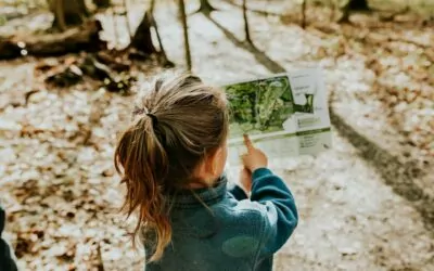 Att göra om mitt barn är vilse i skogen?